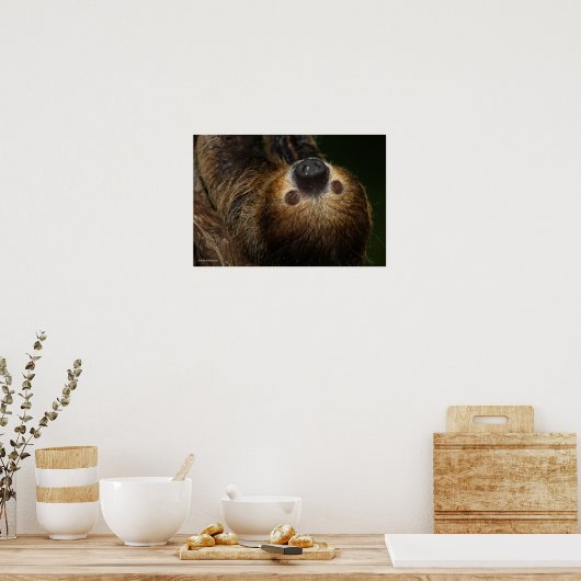 Südlicher Zweizahn Poster (Küche)