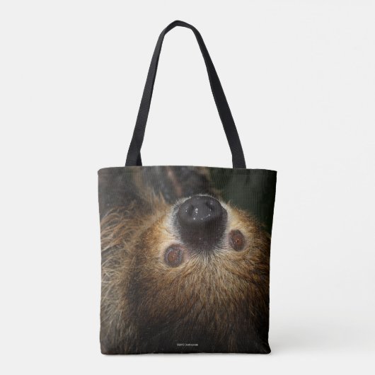 Südlicher Zweizahn Tasche (Rückseite)