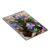 Südliches hölzernes Veilchen Notizblock (Rechte Seite)