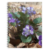 Südliches hölzernes Veilchen Notizblock (Vorderseite)