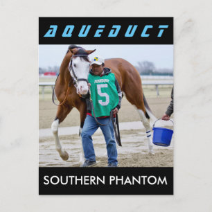 Südliches Phantom Postkarte