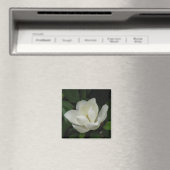 SüdMagnolien Magnet (In Situ (Geschirrspüler))