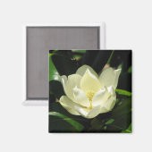 SüdMagnolien Magnet (Vorderseite/Rückseite)