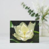 SüdMagnolien Postkarte (Stehend Vorderseite)