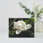 SüdMagnolien Postkarte (Stehend Vorderseite)
