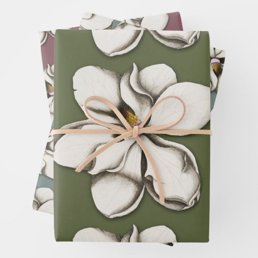 Südmagnolische Blume Gemustert Geschenkpapier Set (Beispiel)