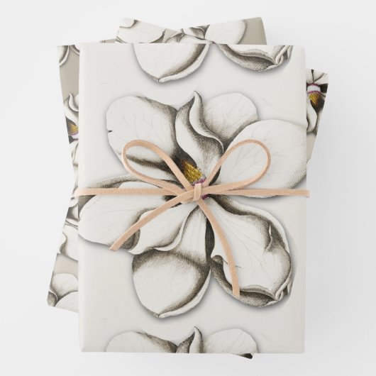SüdMagnolische Blume Gemusterter Jeden Anlaß Geschenkpapier Set (Beispiel)