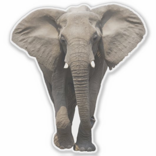 Südostasiatischer Elefant Aufkleber (Vorderseite)