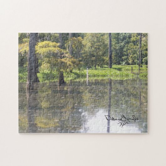 Südosttexas-Puzzlespiel Puzzle (Horizontal)