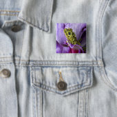 Südostvietnam. Naher Mosaikfrosch Button (Beispiel)