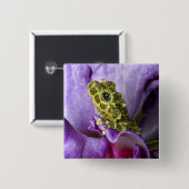 Südostvietnam. Naher Mosaikfrosch Button (Vorne & Hinten)