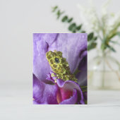 Südostvietnam. Naher Mosaikfrosch Postkarte (Stehend Vorderseite)