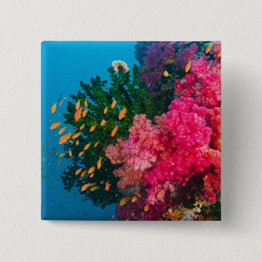 Südpazifik, Fidschi, Viti Levu, Button (Vorderseite)