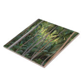 Südpazifik, Französisch-Polynesien, Bora Bora. Fliese (Seite)