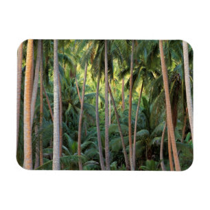 Südpazifik, Französisch-Polynesien, Bora Bora. Magnet