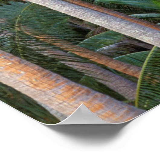 Südpazifik, Französisch-Polynesien, Bora Bora. Poster (Ecke)