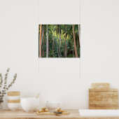 Südpazifik, Französisch-Polynesien, Bora Bora. Poster (Küche)