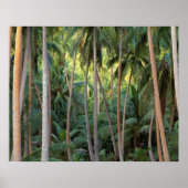 Südpazifik, Französisch-Polynesien, Bora Bora. Poster (Vorne)