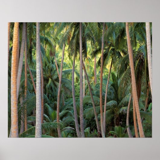 Südpazifik, Französisch-Polynesien, Bora Bora. Poster (Vorne)