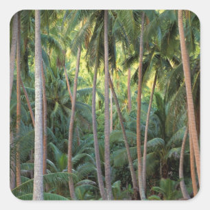 Südpazifik, Französisch-Polynesien, Bora Bora. Quadratischer Aufkleber