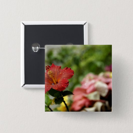 Südpazifik, Französisch-Polynesien, Gesellschaft 2 Button (Vorne & Hinten)