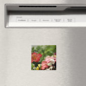 Südpazifik, Französisch-Polynesien, Gesellschaft 2 Magnet (In Situ (Geschirrspüler))