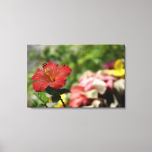 Südpazifik, Französisch-Polynesien, Gesellschaft Leinwanddruck