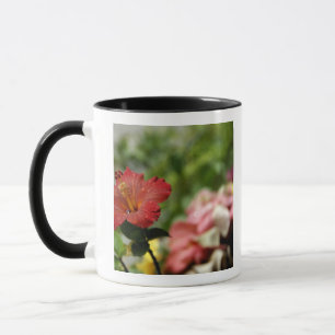 Südpazifik, Französisch-Polynesien, Gesellschaft Tasse