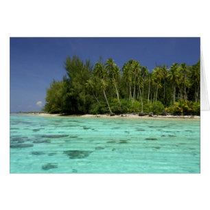 Südpazifik, Französisch-Polynesien, Moorea 2