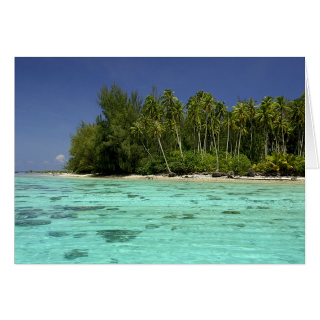 Südpazifik, Französisch-Polynesien, Moorea 2 (Vorderseite (Horizontal))