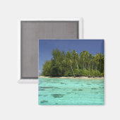 Südpazifik, Französisch-Polynesien, Moorea 2 Magnet (Vorderseite/Rückseite)