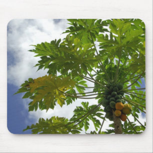 Südpazifik, Französisch-Polynesien, Moorea.2 Mousepad