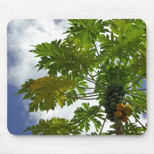 Südpazifik, Französisch-Polynesien, Moorea.2 Mousepad (Vorne)