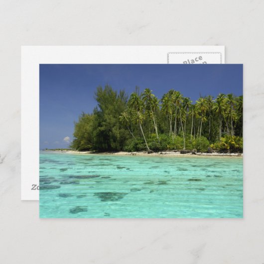 Südpazifik, Französisch-Polynesien, Moorea 2 Postkarte (Vorne/Hinten)