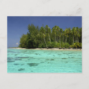 Südpazifik, Französisch-Polynesien, Moorea 2 Postkarte