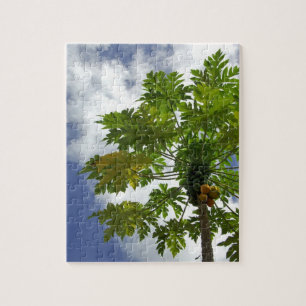 Südpazifik, Französisch-Polynesien, Moorea.2 Puzzle