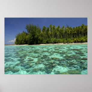 Südpazifik, Französisch-Polynesien, Moorea 3 Poster
