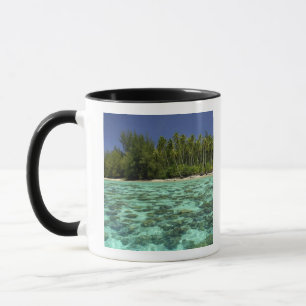 Südpazifik, Französisch-Polynesien, Moorea 3 Tasse