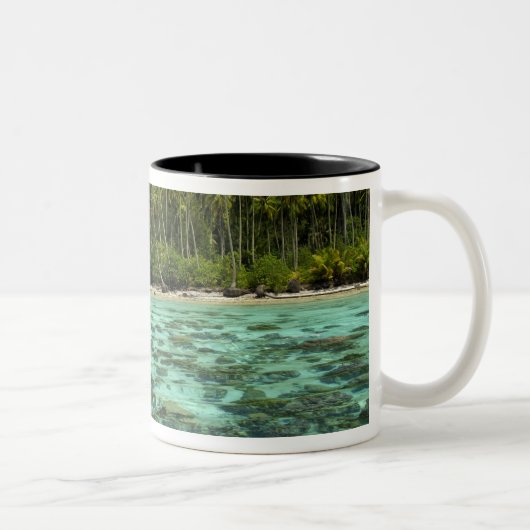 Südpazifik, Französisch-Polynesien, Moorea 3 Zweifarbige Tasse (Rechts)