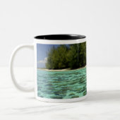 Südpazifik, Französisch-Polynesien, Moorea 3 Zweifarbige Tasse (Links)