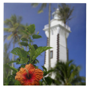 Südpazifik, Französisch-Polynesien, Tahiti.Hibis Fliese