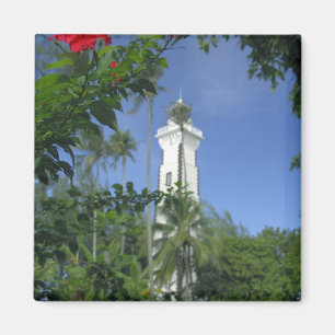 Südpazifik, Französisch-Polynesien, Tahiti. HIBISK Magnet