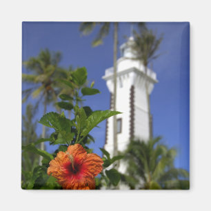 Südpazifik, Französisch-Polynesien, Tahiti. Hibisk Magnet