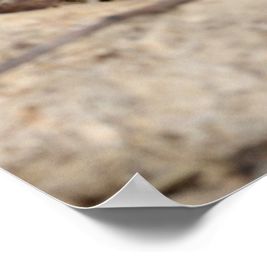 Südpazifik-Schlange. Poster (Ecke)