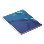 Südpazifik, Tonga. Buckelwal und Kalb Notizblock (angewinkelt)