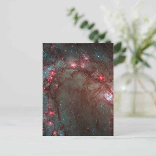 Südpinrad Postkarte (Stehend Vorderseite)