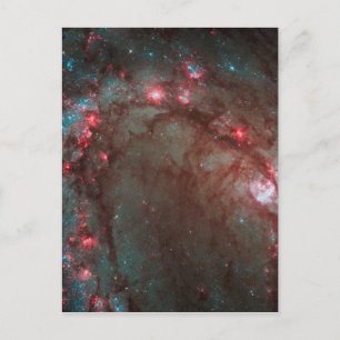 Südpinrad Postkarte