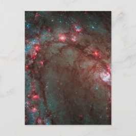 Südpinrad Postkarte