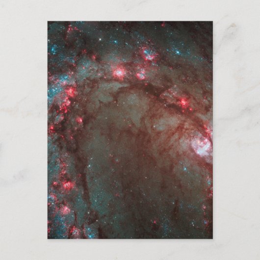 Südpinrad Postkarte (Vorderseite)