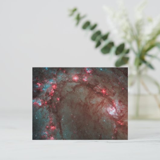 Südpinrad Postkarte (Stehend Vorderseite)